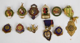 Enamel badges to include Ancient Order of Foresters, Friendly Society Medical Alliance,