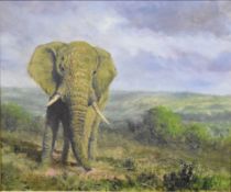 Jack Russell (born 1963) oil on canvas East London Jumbo, South Africa, elephant in an African