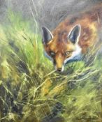 Mick Cawston (1959-2006), oil on canvas, fox amongst undergrowth, signed and dated 06 lower right,