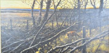 Mick Cawston (1959-2006), oil on canvas, fox walking beside a hedge, signed and dated 2001 lower