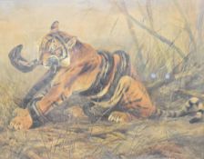 Arthur Wardle (1864-1949) watercolour Tiger and Python, signed lower right, with bronze medal