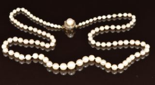 A single strand of cultured pearls, the yellow metal clasp set with rose cut diamonds and a