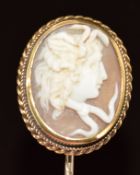 Victorian yellow metal stick pin set with a cameo of Medusa, 4.6g, 2.2 x 1.9cm
