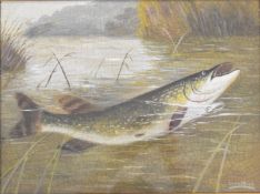 A. Roland Knight (1879-1921) study of a fish surfacing, signed lower right, 29.5 x 40cm, in oak