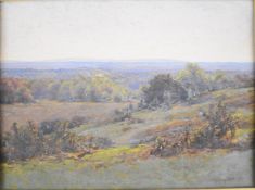 Frederiek Golden Short (1863-1936) Hampshire landscape oil on board titled verso 'Acre's Down New