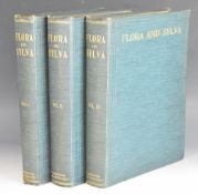 Flora And Sylva A Monthly Review for Lovers of Garden, Woodland, Tree or Flower; New and Rare