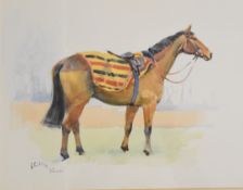 Peter Curling (Irish, born 1955) watercolour of a racehorse 'Aherlow', signed and titled lower left,