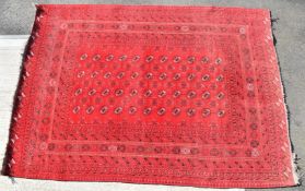 Turkoman rug with forty four guls on a wine ground, 285 x 202cm