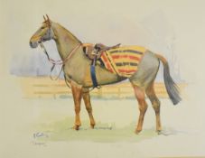 Peter Curling (Irish, born 1955) watercolour of a racehorse 'Chrysaor', signed and titled lower