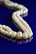 A double strand of natural saltwater pearls made up of seventy five and seventy six near round