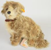 Steiff Treff Skye Terrier dog with collar, original tags and button to ear, 031663, height 30cm