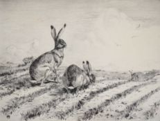 Winifred Austen RE 'Hares In The Young Wheat', original etching signed in pencil by the artist lower
