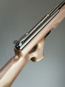 BSA Buccaneer .22 air rifle with chequered thumb hole grip, raised cheek piece and adjustable