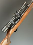 Ruger Model 10/22 .22 semi-automatic rifle with chequered semi-pistol grip and forend, multi-shot