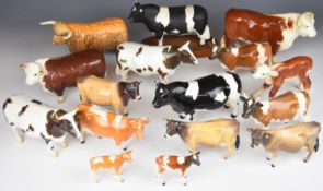 Sixteen Beswick cattle figures for restoration, tallest 14cm