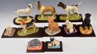 Nine Royal Doulton dog and cat figures, all boxed, tallest 18cm