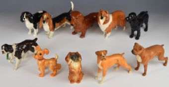 Ten Beswick dogs including Cavalier King Charles Spaniel, Cocker Spaniel, Bassett, Spaniel etc,