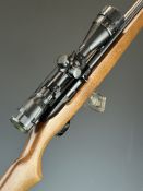 Ruger Model 10/22 .22 semi-automatic rifle with semi-pistol grip, multi-shot magazine, BSA Essencial