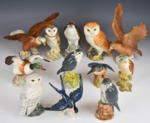 Twelve Royal Doulton, Beswick and Karl Ens bird figures including Shelduck, tallest 24cm