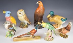 Eight Beswick bird figures including Mallard, Pheasant, Kookaburra etc, tallest 30cm