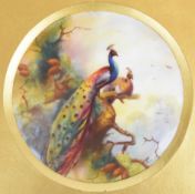 J Bray for Royal Worcester circular porcelain plaque decorated with a pair of peacocks in a pine