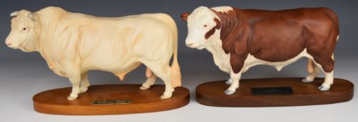 Beswick Polled Hereford Bull from the Connoisseur Collection and a Charolais bull, tallest 19cm