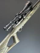 Ruger Model 10/22 .22 semi-automatic rifle with laminate show wood stock, thumb-hole grip, raised