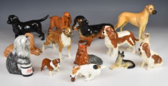 Fourteen Beswick / Royal Doulton dog figures including Dulux dog, Boxer, cocker spaniel etc, tallest