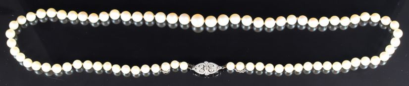 A single strand of cultured pearls, the white gold clasp set with rose cut diamonds, 29.5g, 54cm