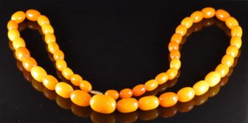 Baltic amber necklace made up of 47 graduated oval beads, the largest 16.2 x 24.5mm and the smallest