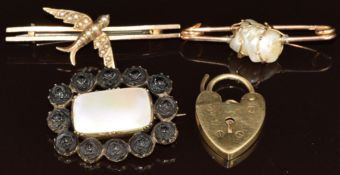 Victorian brooch set with mother of pearl surrounded by carved jet, Edwardian 9ct gold swallow