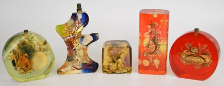 Five mid-century modern lucite / acrylic lamps of sea life, including sea horses, starfish, crabs,