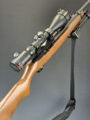 Ruger Model 10/22 .22 semi-automatic rifle with semi-pistol grip, four multi-shot magazines,