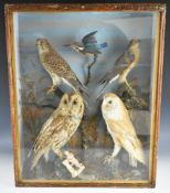 A C Foot of Bath Victorian / early Edwardian cased taxidermy study of six birds including a