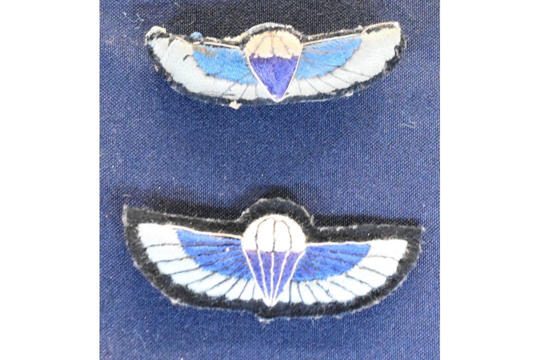Rhodesia Long Range Desert Group interest interest mainly WW2 medal and badges to include 1939-45 - Image 13 of 16