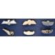 Rhodesia Long Range Desert Group interest interest mainly WW2 medal and badges to include 1939-45 - Image 12 of 16