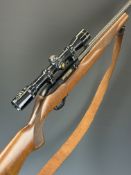 Ruger Model 10/22 .22 semi-automatic rifle with chequered semi-pistol grip and forend, multi-shot