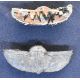 Rhodesia Long Range Desert Group interest interest mainly WW2 medal and badges to include 1939-45 - Image 14 of 16