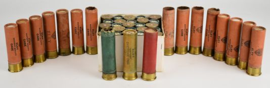 Forty three 4 and 8 bore shotgun cartridges and cartridge cases comprising 25 Remington Industrial 8