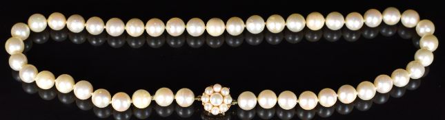 Single strand of cultured pearls with 9ct gold clasp set with a cluster of pearls, 46g, 42cm