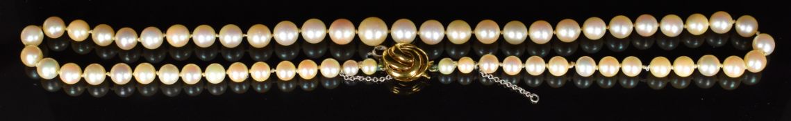 Single strand of cultured pearls with 9ct gold clasp, 29.3g, 44cm