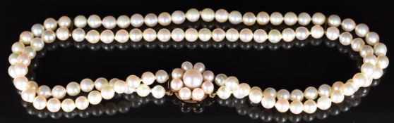 A double strand of cultured pearls with 9ct gold clasp set with a cluster of pearls, 36.1g, 32cm