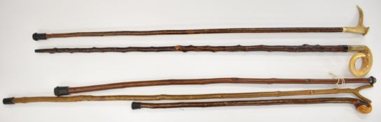 Five walking / thumb sticks including carved deer / ram's horn, one with acorn finial, one