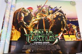Two movie posters for Teenage Mutant Nin