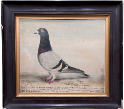 Collectors & Interiors Sale