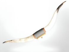 A large pair of cow horns on stand,