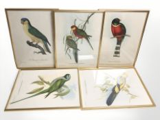 Five ornithological colour lithographs in gilt frames, each 40 cm x 29 cm.