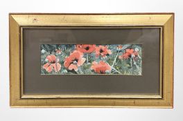 Mary Ann Rogers (Contemporary) : Study of Poppies, watercolour, signed in pencil,