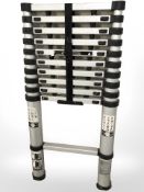 An aluminium telescopic ladder.