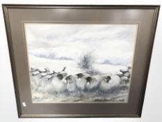 Gene Stewart Beddison : Sheep beside a stone wall with snow covered hills beyond, watercolour,